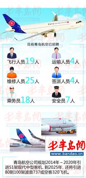 青岛航空首架飞机亮相 尾部喷绘耐冬花