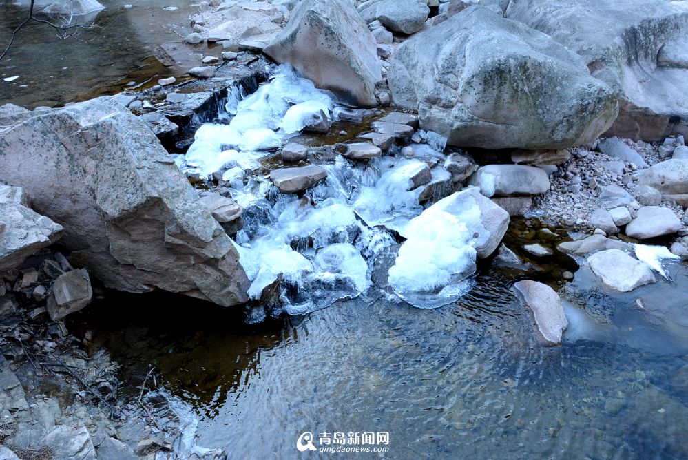 冬日的崂山退去色彩,素雅清丽成为主旋律。溪流停止奔腾,池塘结冻成冰,整个山谷转瞬变得格外宁静。偶尔会有兴奋的游客高声呐喊,回音在山涧里传递,更显得仙山圣境远离尘世。告别喧嚣,亲近自然,气温零下的崂山空气更加清新。都市人向往世外桃源,渴望一块不被打扰的净土,12月的崂山算不算呢?