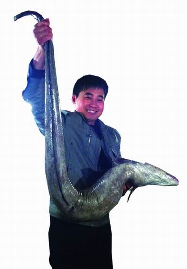 "鳗鱼王"长1.5米重25斤售价1200元