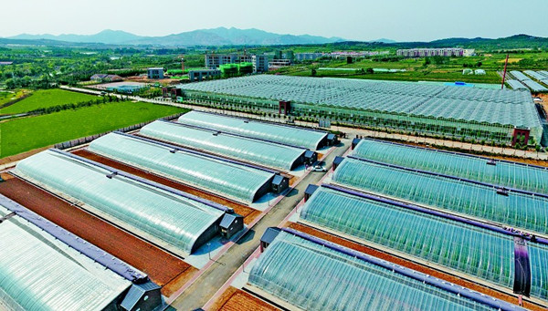 现代农业示范区成立两周年:打造绿色硅谷 发展