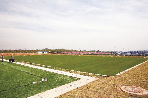 德国足球亚洲基地在新区建成 达到承办国际赛