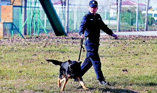 青岛警犬训练基地 一处"无言战友"炼成的地方