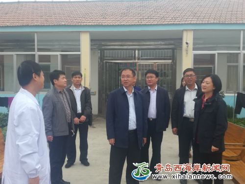 区长莅临区精神病医院指导工作-青岛西海岸新