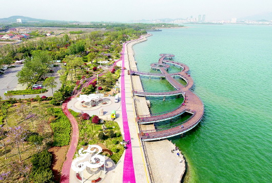 成立时间:2013-07-23 公司地址:山东省青岛市黄岛区红柳河路594号101